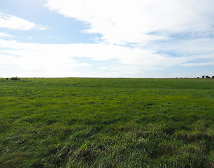 Image showing English country panorama in Salisbury