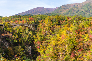 Image showing Naruko canyon in Japan