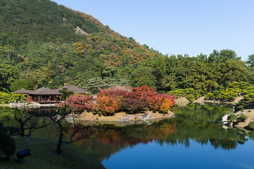 Image showing Japanese Ritsurin Garden