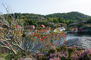 Image showing Rossnes, Nordfjorden, Norway