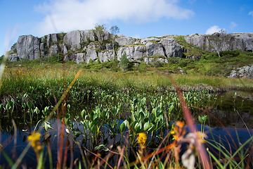 Image showing Way to the Preikestolen, Rogaland, Norway