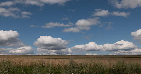 Image showing landscape of wheat field at harvest