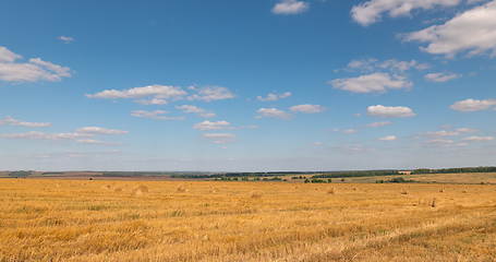 Image showing landscape of wheat field at harvest