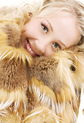 Image showing fur