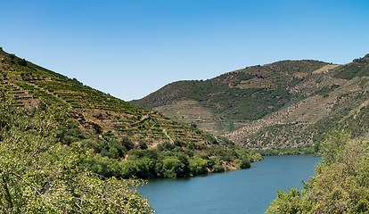 Image showing Point of view shot of terraced vineyards in Douro Valley