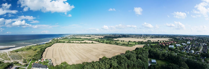 Image showing Grainfield near Laboe, Germany