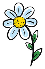 Image showing White chamomile flower with green leafs vector illustration on w