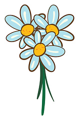 Image showing Vector illustration on white background of a bouquet of daisies 