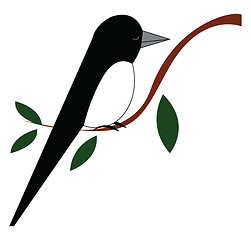 Image showing Black bird at a tree branch, vector color illustration.