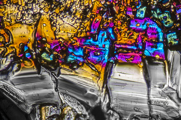 Image showing Ammonium sulfate microcrystals