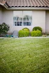 Image showing suburban house