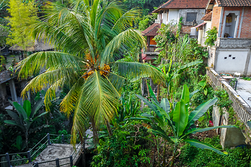 Image showing Houses in jungle, Ubud, Bali, Indonesia