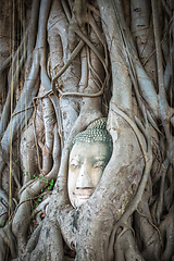 Image showing Buddha Head in Tree Roots, Wat Mahathat, Ayutthaya, Thailand