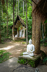 Image showing Buddha statue in jungle, Wat Palad, Chiang Mai, Thailand