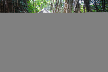 Image showing Temple in the Monkey Forest, Ubud, Bali, Indonesia