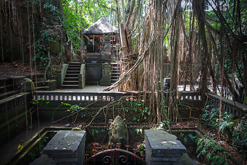 Image showing Temple in the Monkey Forest, Ubud, Bali, Indonesia