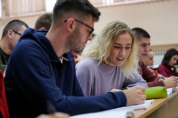 Image showing Students Gruop In the uni Amphitheather