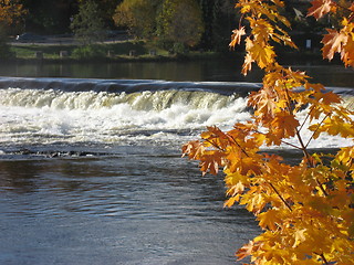 Image showing Waterfall with the color of fall in the front