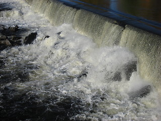 Image showing Waterfall