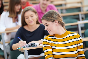 Image showing Students Gruop In the uni Amphitheather