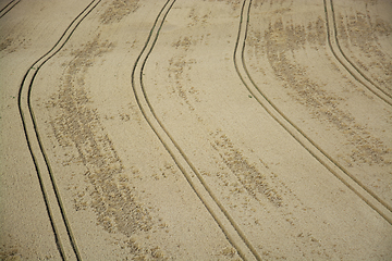 Image showing Grainfield near Laboe, Germany