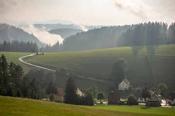 Image showing misty landscape with trees