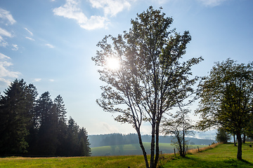 Image showing misty landscape with sunshine through trees