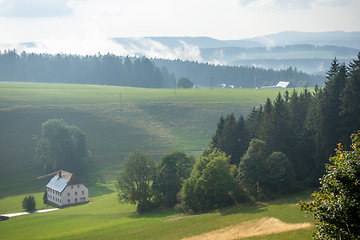 Image showing misty landscape with trees