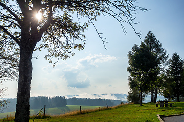 Image showing misty landscape with sunshine through trees