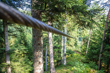 Image showing zipline in the black forest germany