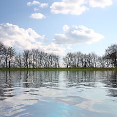 Image showing some trees at the lake