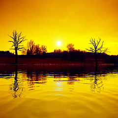 Image showing sunset scenery lake and trees