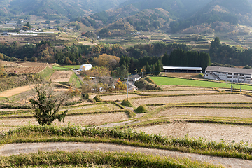 Image showing Meadow in autumn season