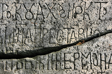 Image showing Old grave