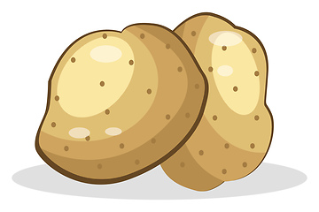 Image showing Potato vector color illustration.