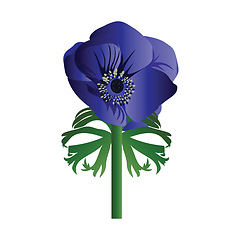 Image showing Vector illustration of anemone flower on white background.