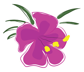 Image showing Pink orchid flower with yellow pestle and green leaves vector il