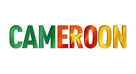 Image showing cameroonian flag text font