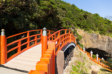 Image showing Aoshima Shrine in Japan