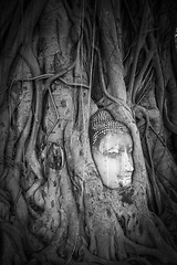 Image showing Buddha Head in Tree Roots, Wat Mahathat, Ayutthaya, Thailand