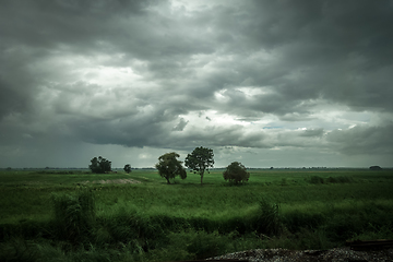 Image showing Field in the storm, Chiang Mai, Thailand