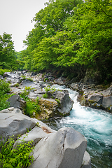 Image showing Kanmangafuchi abyss, Nikko, Japan