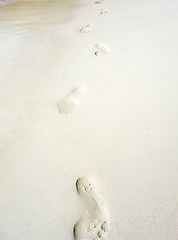 Image showing footprints on a tropical beach