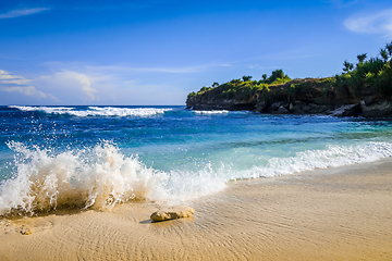 Image showing Dream beach, Nusa Lembongan island, Bali, Indonesia