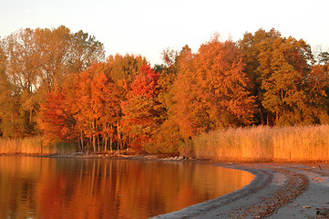 Image showing pre sunset light 1050