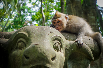 Image showing Monkey on a cow statue in the Monkey Forest, Ubud, Bali, Indones