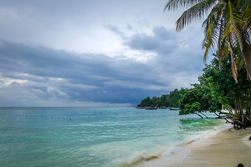 Image showing Tropical beach in Koh Lipe, Thailand