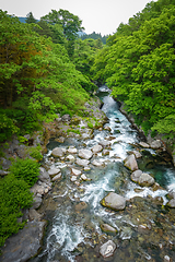 Image showing Kanmangafuchi abyss, Nikko, Japan