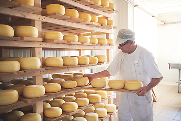 Image showing Cheese maker at the storage with shelves full of cow and goat cheese