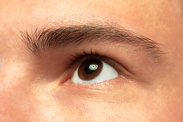 Image showing Caucasian young man\'s close up shot on green background